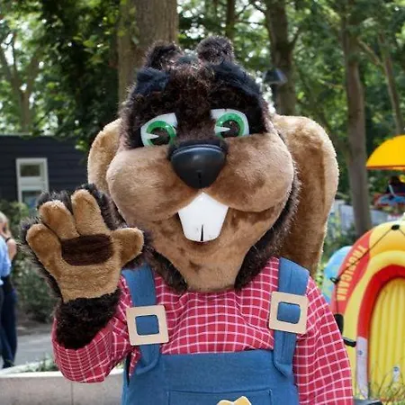 Holiday rentals Chalet