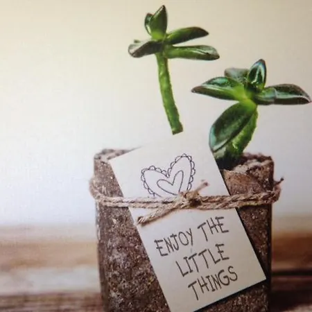 Holiday rentals Chalet