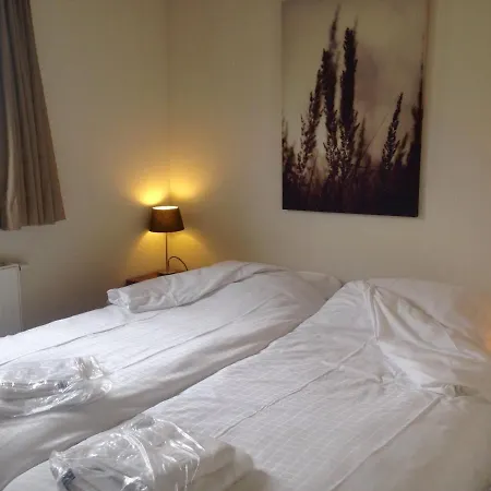 Holiday Rentals