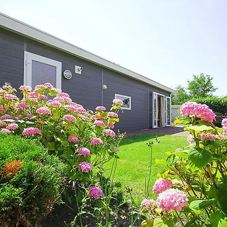 Holiday Rentals